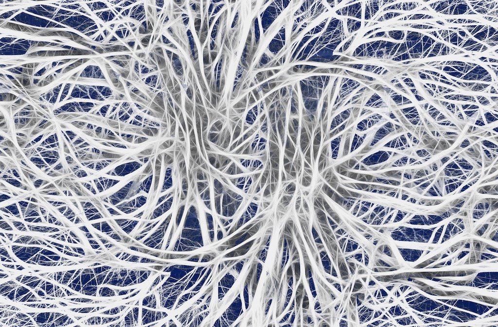 The Brain and Learning